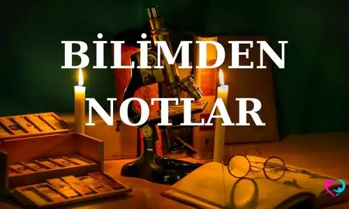 Bilimin Işığında: Geleceği Şekillendiren Keşifler