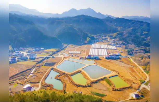 CMG, 2025 yılının kırsal kalkınmaya ilişkin en önemli 10 haberini seçti