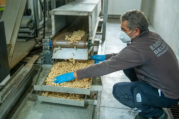 Esenyurt'ta hayvanlar için gıda desteği