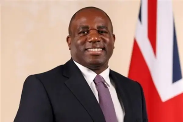 Lammy, Almanya Cumhurbaşkanı Steinmeier ile görüşme gerçekleştirdi