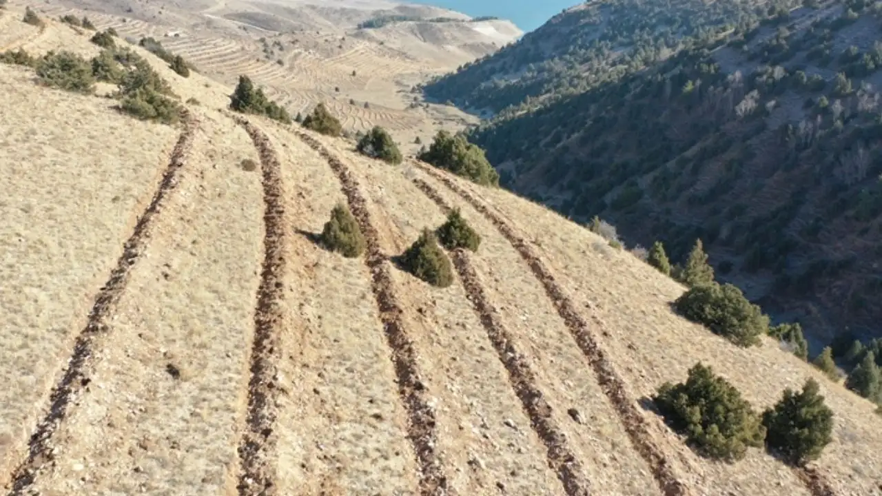 Doğu Anadolu’da yaklaşık 9 milyon fidan ve tohum toprakla buluşturuldu