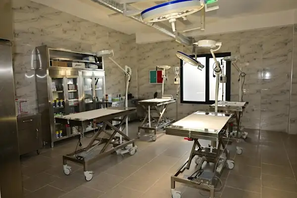 Şehzadeler’deki hayvan barınma alanı kapatılıyor