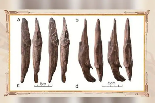 CMG, 2025’in en önemli 10 iç ve dış arkeoloji haberini belirledi