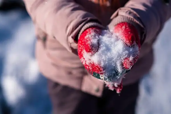 Ağrı ve Tunceli’de eğitime 1 gün ara verildi