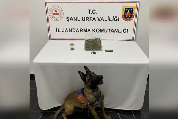 Şanlıurfa'da uyuşturucu operasyonu
