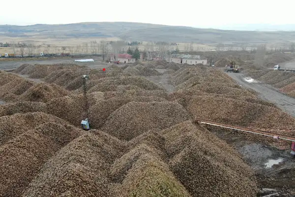 Sukkar Şeker 2025’te üretim hacmini güçlendirdi