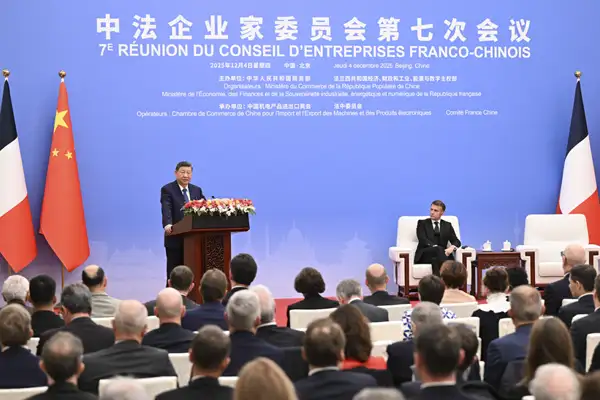 Xi ve Macron, Çin-Fransa İş Konseyi toplantısına katıldı
