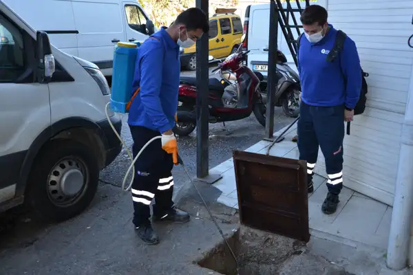 Alanya'da vektörel mücadele çalışmaları devam ediyor