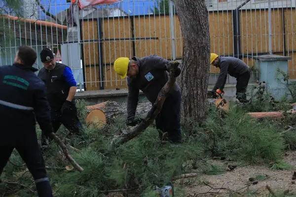 Osmangazi Belediyesi'nden lodosa karşı müdahale