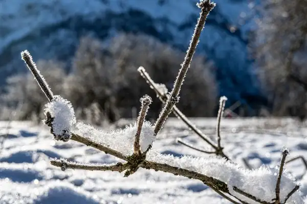Malkara'da taşımalı eğitime 1 gün ara verildi