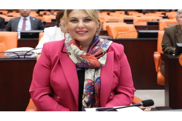 Elvan Işık Gezmiş; Emekli maaşı lütuf değil