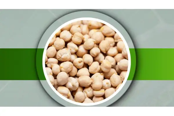 Başkan Dr. Özer Kasap: Nohut tohumu desteği başvuruları alınıyor