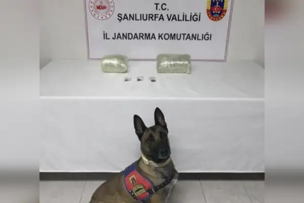 Şanlıurfa 'da uyuşturucu operasyonu 