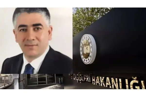 Hacı Ali Özel, Dışişleri bakan yardımcılığına atandı