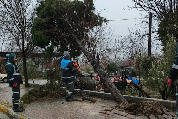 Pamukkale'de fırtına ve sağanak yağışa anında müdahale 