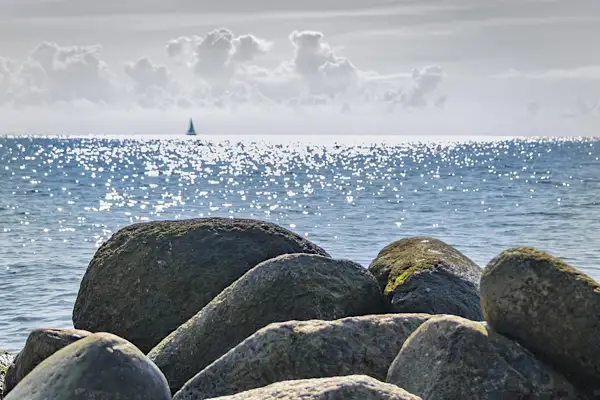 Sarıyer’de kayalıklardan düşen kazazede kurtarıldı