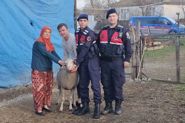 Çanakkale’de kayıp hayvanlar bulundu