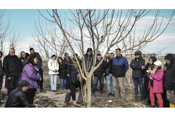 ABB'den meyve ağaçlarının gelişimine destek