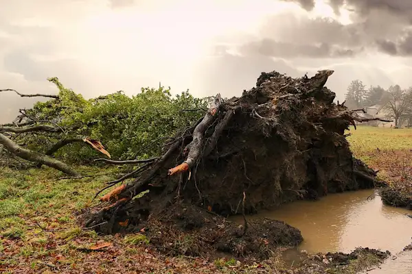Kocaeli için kuvvetli rüzgar ve fırtına uyarısı