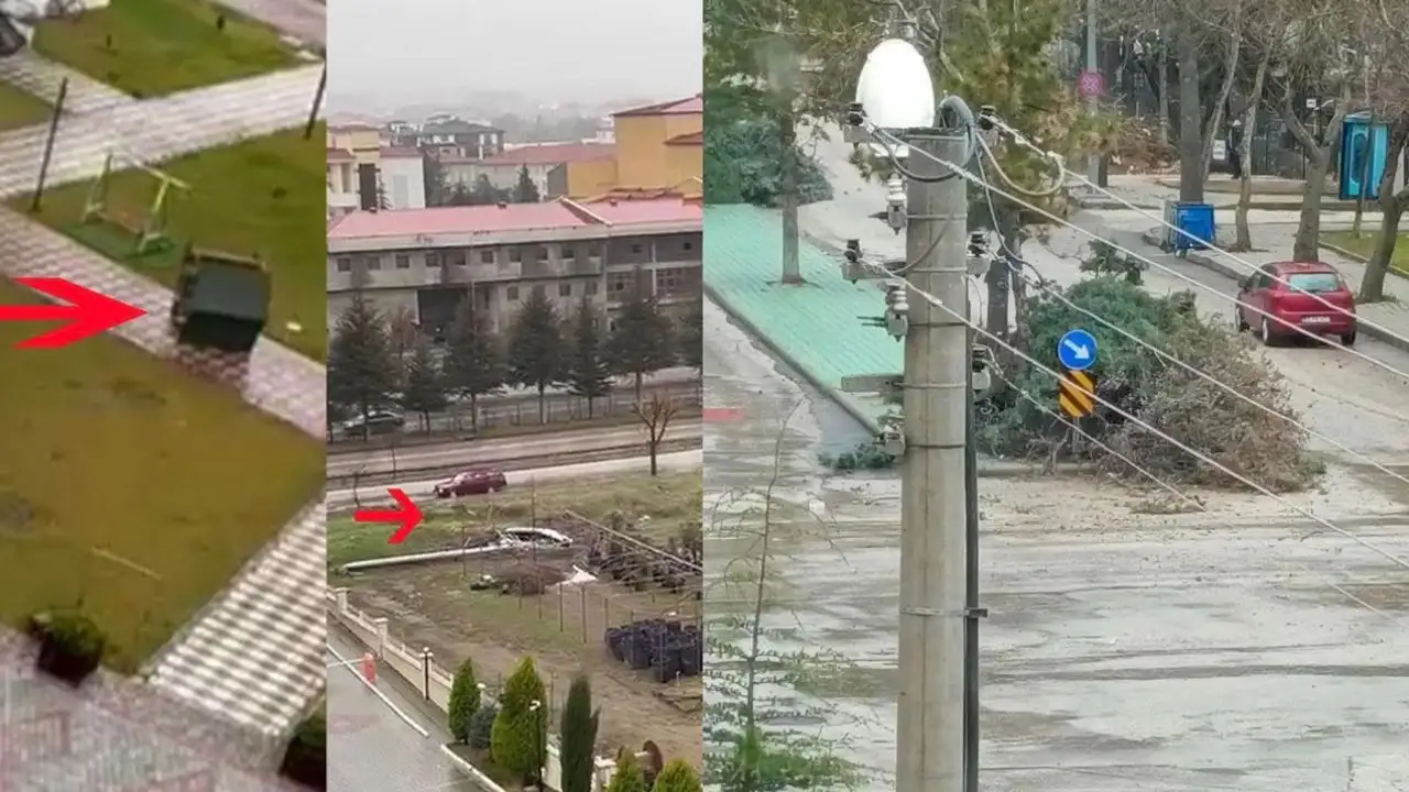 Şiddetli rüzgarda ağaçlar devrildi kamelyalar uçtu