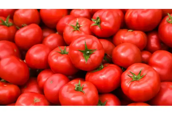 Domates ihracatı 2025’te 401 milyon doları aştı