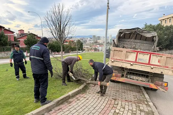 Osmangazi’de devrilen ağaçlara müdahale edildi