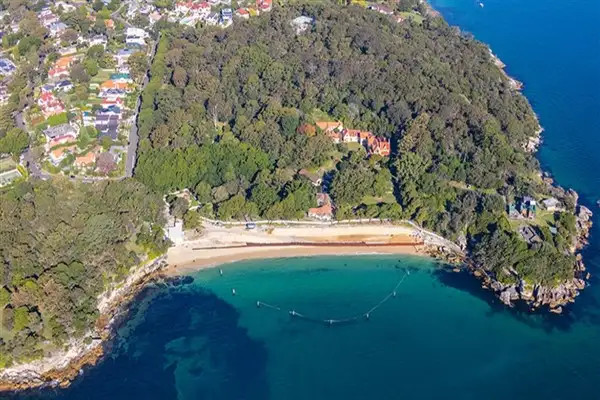 Sydney'de meydana gelen köpekbalığı saldırısında bir çocuk hayati tehlike altında