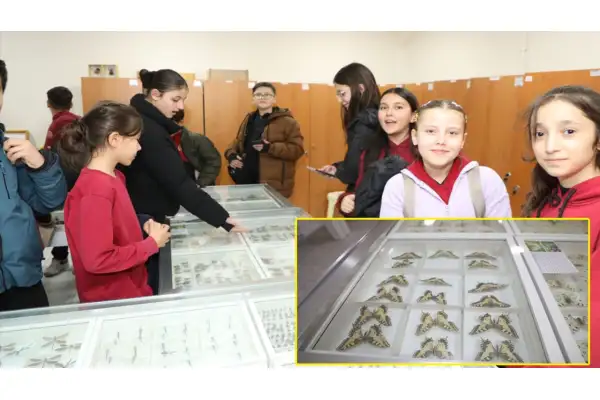 ISUBÜ Ziraat Fakültesi Böcek müzesinde 30 bin böcek örneği sergileniyor