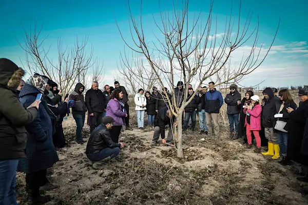 ATA Çiftliği’nde meyve ağaçlarında budama ve terbiye kursu düzenlendi