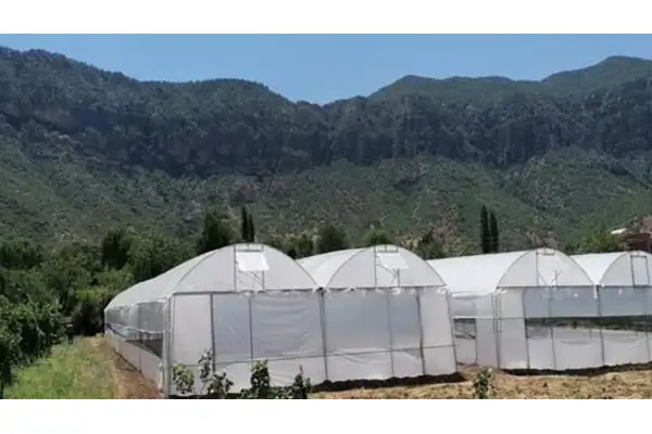 Seralarda yıkım hasat sonrasına ertelendi