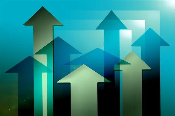 Temapol'ün tahsisli sermaye artırım başvurusu