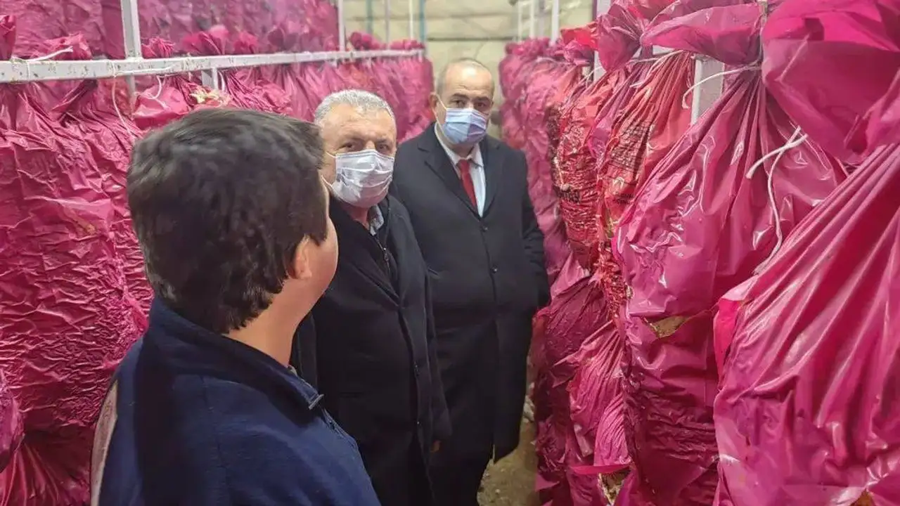 Mantarcılık kursunda teori ve uygulama buluştu