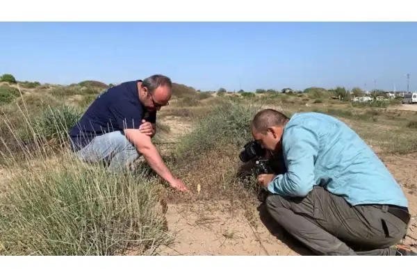 Endemik türü koparmanın cezası 699 bin lirayı aşıyor