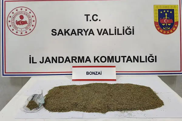 Sapanca’da uyuşturucu operasyonu