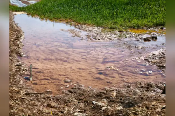 Tarımsal sulamada kaçak elektrik kullanımı  5 milyar kWh’ye ulaştı