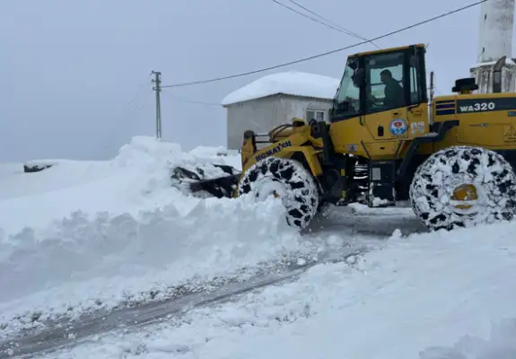 Trabzon'da karla mücadele çalışmaları sürüyor