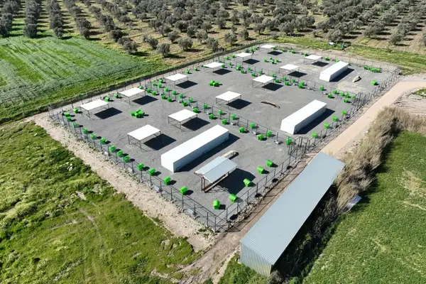 Edremit’te sokak hayvanlarına yeni alan