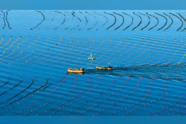 15. Beş Yıllık Plan’da deniz ekonomisini geliştirme vurgusu