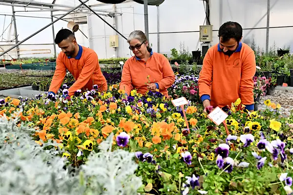 Muratpaşa'da bitki üretim tesisi ile sürdürülebilir üretim yapılıyor