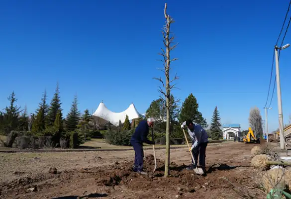 Sazova'da ağaçlandırma çalışmaları başladı