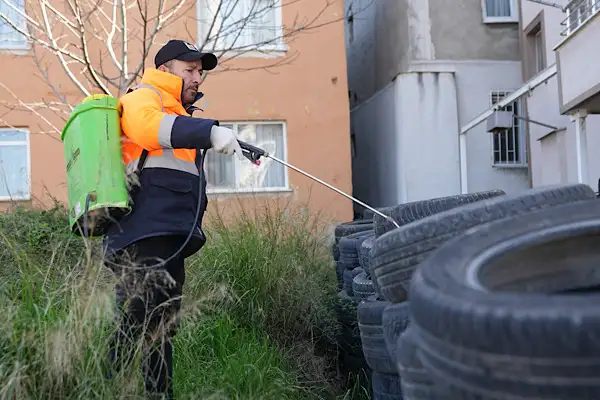 Yalova’da sinekle mücadele çalışmaları devam ediyor