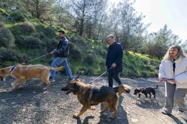 İzmir'de iki yılda 37 bin 146 hayvan kısırlaştırıldı