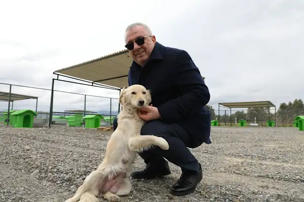 Ertaş: Sokak hayvanlarının yaşam hakkını korumak en temel sorumluluklarımızdan biri 