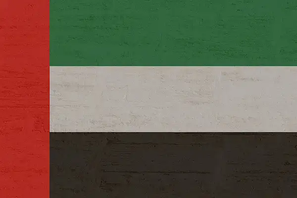 BAE Savunma Bakanlığı, 123 insansız hava aracını engellediğini açıkladı