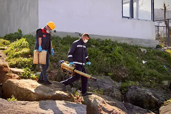 Giresun’da ilaçlama çalışmaları başladı