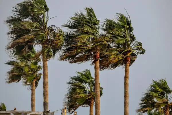 MGM: Güneybatıda kuvvetli rüzgar ve fırtına bekleniyor