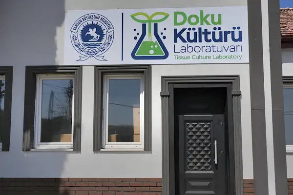 Samsun’da Bitki Doku Kültürü Laboratuvarı açılıyor