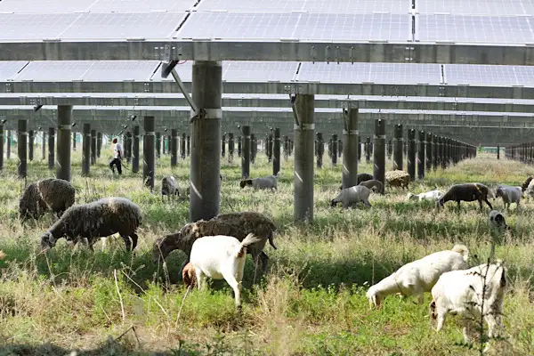 Alman ve İngiliz medyası: Çin, enerji krizinin en büyük kazananı oldu