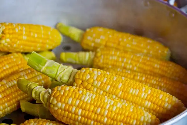 Ticaret Bakanlığı’ndan mısır ithalatına yeni düzenleme