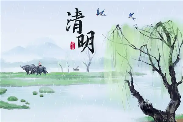 Qingming: Ataları anma ve baharı karşılama zamanı